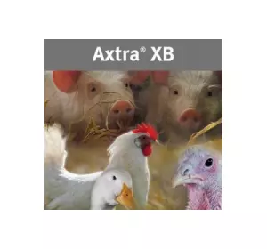 Axtra XB мульти фермент кормовой, 25 кг